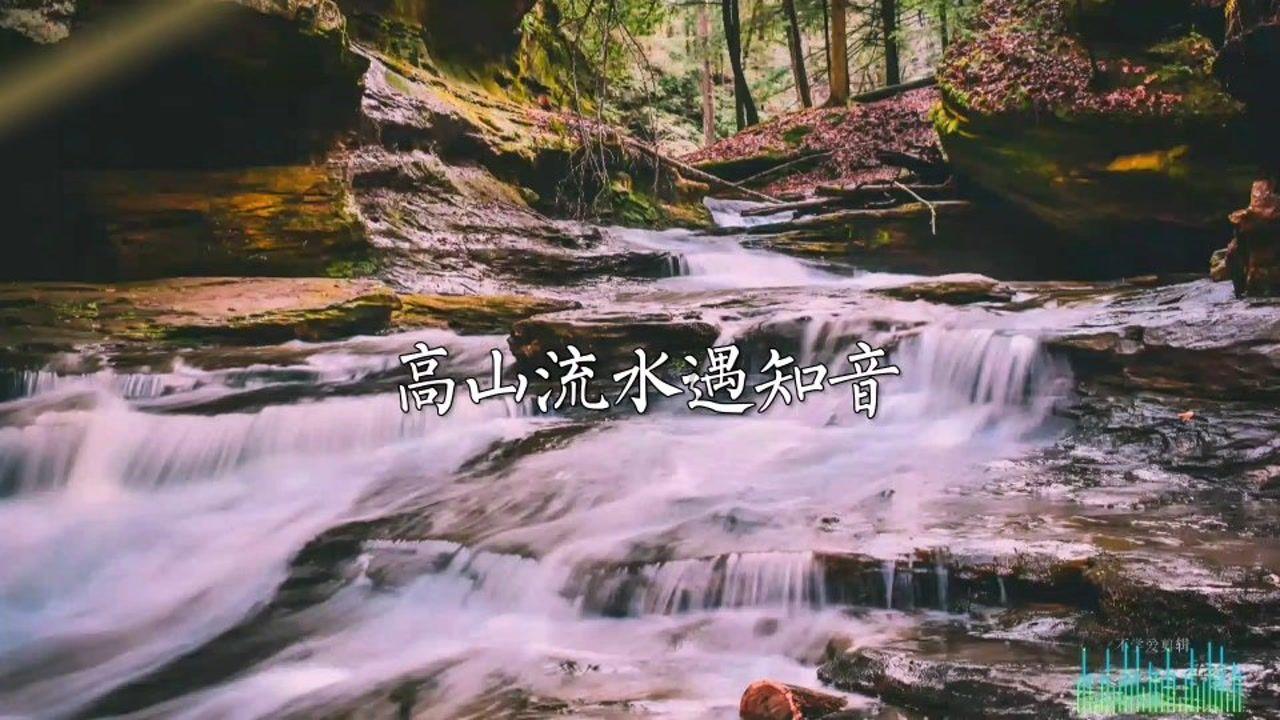 提供全面问答的吃什么能有效的调节心理情绪网站